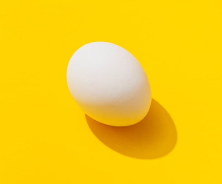 An egg with a shadow on a yellow background